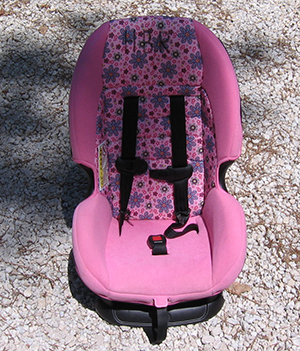 5 Point Harness Booster Car Seat